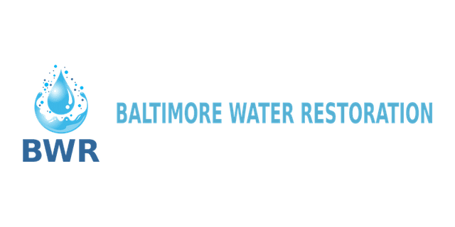 Baltimore Water Restoration