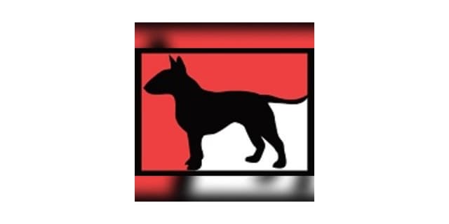 Boss Bull Terriers