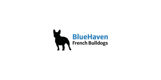 BlueHaven French Bulldogs