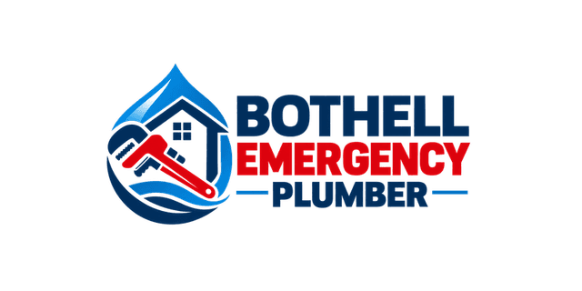 Bothell Emergency Plumbers