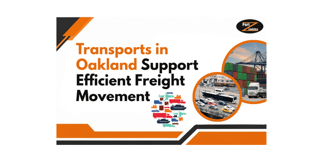 Port Z Logistics INC