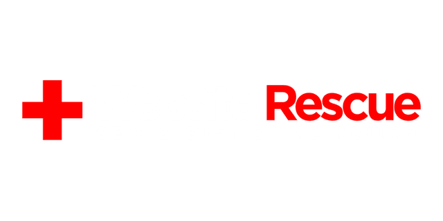 Website Rescue SEO