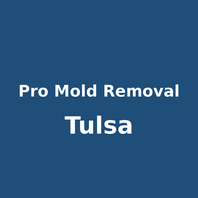 Pro Mold Removal Tulsa logo
