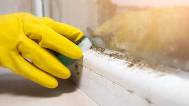 remove-dirt-and-debris