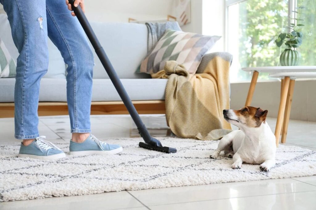 imgi_12_Best-Carpet-Cleaning-in-Bend-OR