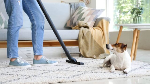 imgi_12_Best-Carpet-Cleaning-in-Bend-OR