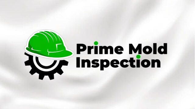 Prime-Mold-Inspection-Burbank-1