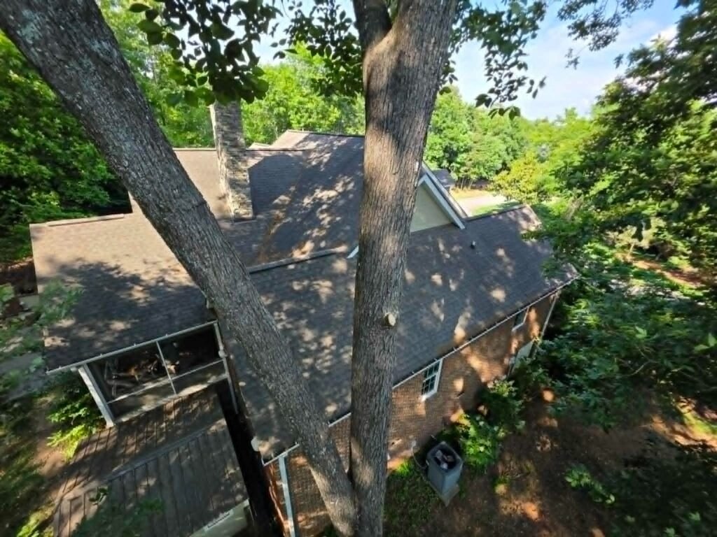 Aerial-view-tree-branches-over-roof-before-canopy-raising-Knoxville-TN
