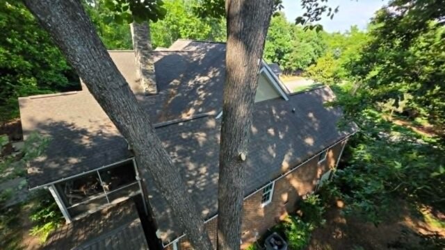 Aerial-view-tree-branches-over-roof-before-canopy-raising-Knoxville-TN