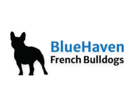 BlueHaven-French-Bulldogs