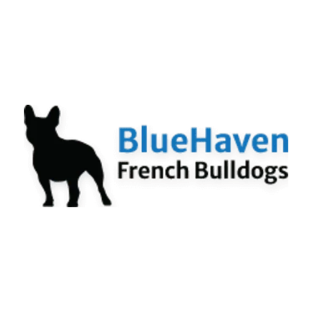 BlueHaven-French-Bulldogs