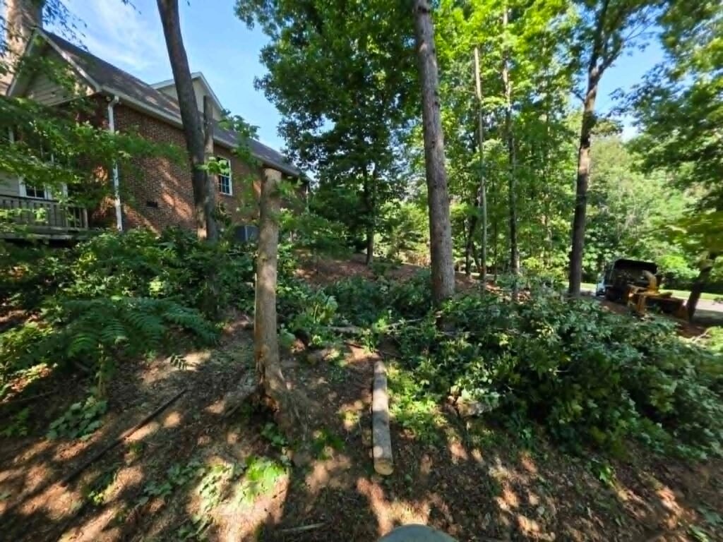 Bucket-truck-tree-pruning-canopy-raising-near-house-Knoxville-TN-Whites-Tree-Service