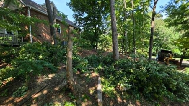 Bucket-truck-tree-pruning-canopy-raising-near-house-Knoxville-TN-Whites-Tree-Service