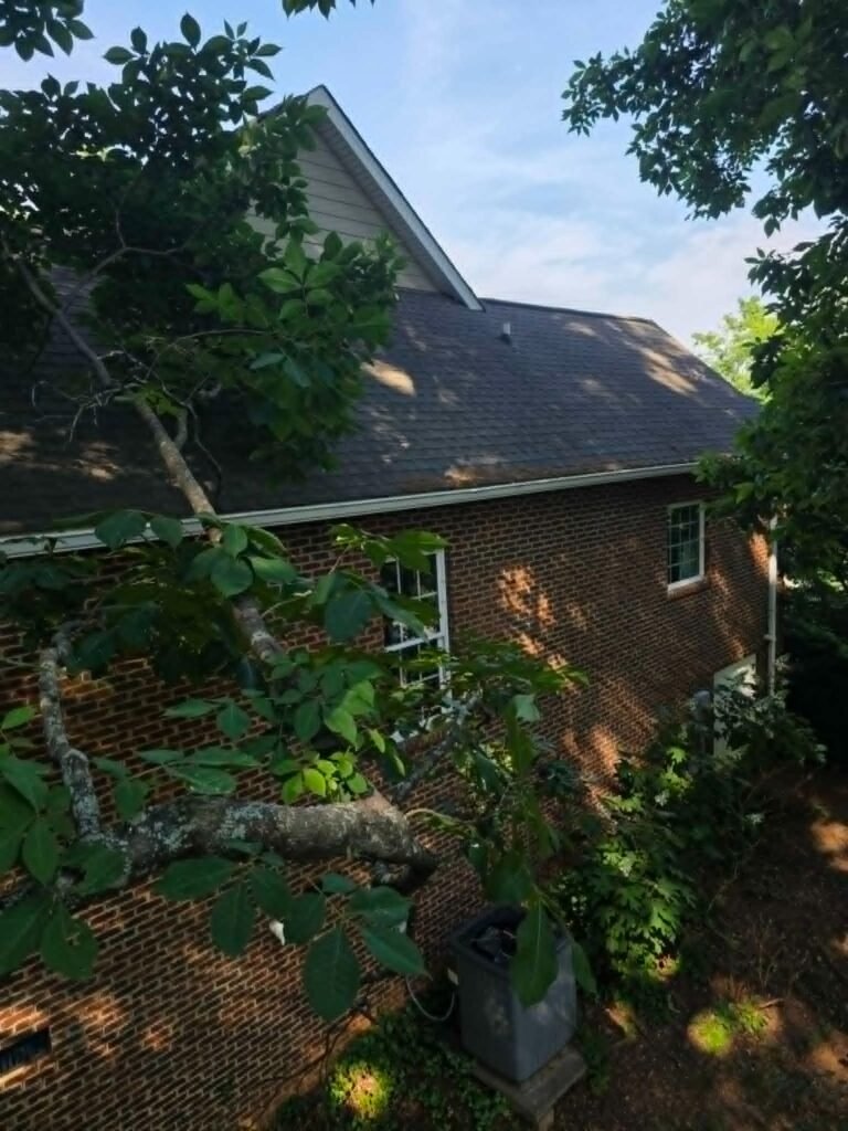 Tree-branch-resting-on-roof-before-pruning-Knoxville-Tennessee-Whites-Tree-Service