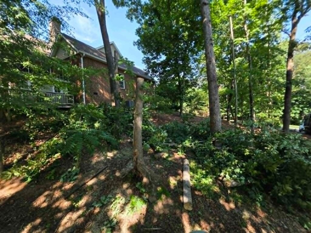 Trees-pruned-and-canopy-raised-away-from-house-Knoxville-Knox-County-TN