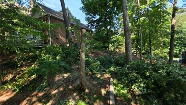 Trees-pruned-and-canopy-raised-away-from-house-Knoxville-Knox-County-TN