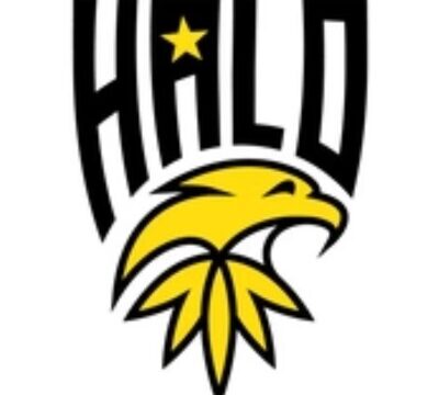 drinkhalo_logo