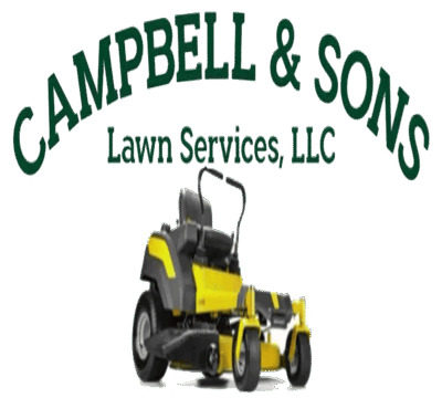 logo_cs4-1920w-1