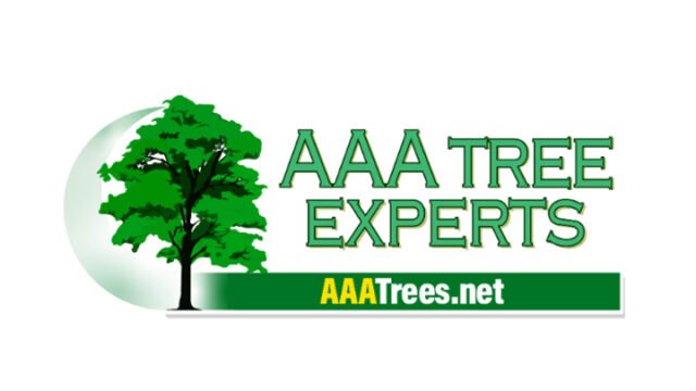 AAA-Tree-Experts-Logo-720