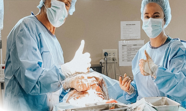 Pet-Surgery-1