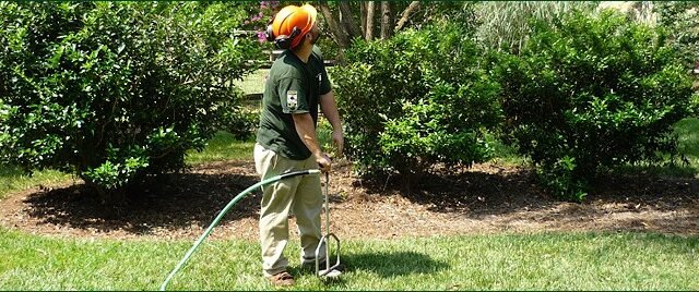 deep-root-fertilization-aaa-tree-experts-charlotte-nc
