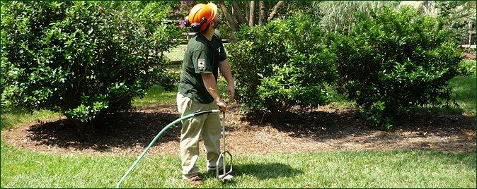 deep-root-fertilization-aaa-tree-experts-charlotte-nc