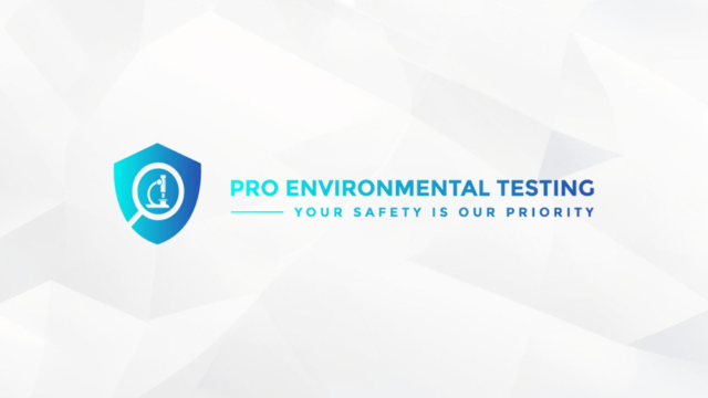 pro-logo-2
